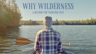 Why Wilderness