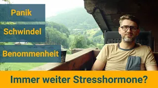 Wieso steht mein Körper dauernd unter Stresshormonen? Schwindel, Panik und Benommenheit