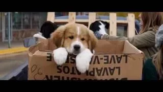'A Dog's Purpose' (2017) Official Trailer | Dennis Quaid, Britt Robertson