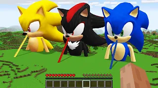 NEW SECRET STAIRS TO HOUSE SONIC vs SUPER SONIC VS SHADOW SONIC in Minecraft Animation