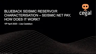 Blueback Seismic Reservoir Characterisation – Seismic Net Pay, how does it work?