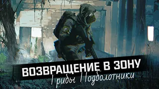 S.T.A.L.K.E.R.: Возвращение в зону | Наследие: поговорить с Бессмертным | Грибы подболотники