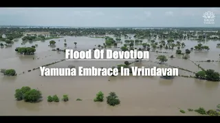 Flood of Devotion || Yamuna Embrace in Vrindavan