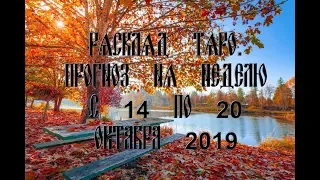 Расклад Таро. Прогноз на неделю с 14 по 20 октября 2019 г.