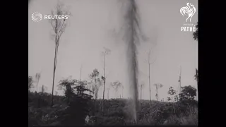 COLUMBIA: SEARCH FOR OIL IN THE COLOMBIAN JUNGLE (1956)