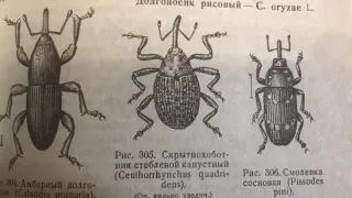 Грачёв Вадим Сергеевич. Обзор моей домашней библиотеки. Часть 104. Биология, генетика.