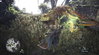 Hunt a Great Jagras - Monster Hunter World Beta Monster Hunter World 「モンスターハンター：ワールド」 魔物獵人 世界