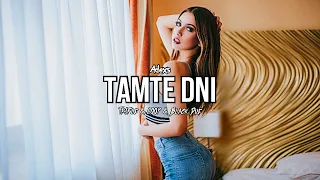 Adexs - Tamte Dni (Tr!Fle & LOOP & Black Due Remix) 2022