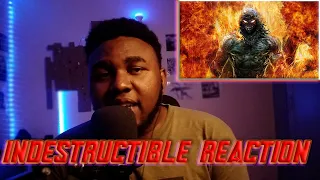 Disturbed- Indestructible Reaction