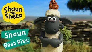 Speedy Squirrel | Shaun the Sheep Best Bits Season 6