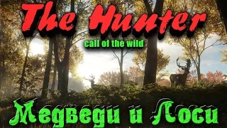 The Hunter Call of the Wild - Медведи и Лоси