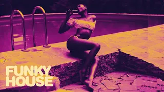 The Best of Dance Music - Funky House For A Summer Trip