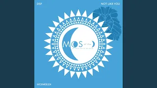 Not Like You (Extended Mix)