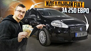 С Нуля До Porsche. КУПИЛ FIAT PUNTO 2006 г. ОТЛИЧНЫЙ ВАРИАНТ НА КАЖДЫЙ ДЕНЬ.