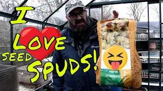 It's TIME For Seed POTATOES. Brassica Experiment. March Plot Tour. Dave's Allotment Garden.