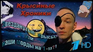 Анонс - Звезданутые крысы, или наши морды на первом канале? (Fancy Rats | Декоративные крысы)