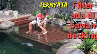 Membuat filter kolam natural di bawah decking kayu