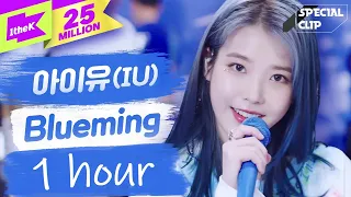 IU(아이유) 'Blueming (블루밍)' 라이브🎤🎤(밴드ver.) | 가사 | 스페셜클립 | 1시간 | Special Clip | LYRICS | 1 hour