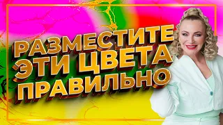 Как с помощью цвета убрать негатив и привлечь удачу☯️ Хороший Фэн Шуй дома ✨ Коррекция летящих звезд