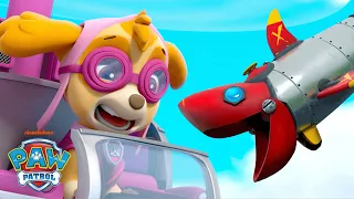 Skye Stops a Speedy Land Shark! | PAW Patrol Full Scene | Shimmer and Shine