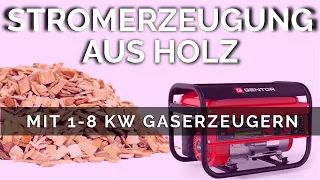 Stromerzeugung aus Holz mit 1-8 kW Gaserzeugern