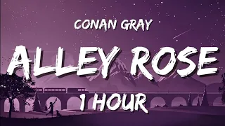 (⏱️1Hour) Conan Gray - Alley Rose [Lyrics/Paroles]