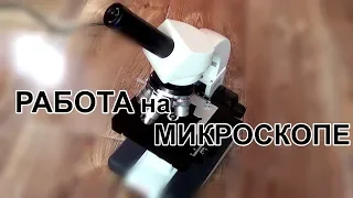 Работа на микроскопе. Как я это делаю.