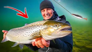 Catches 5 Different Species on Spin Fishing! (Crazy Fishing in Bergeforsen) | Team Galant