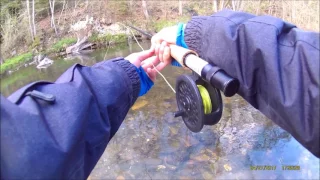 Vliegvissen op forel in de Ardennen met de "Dry fly"