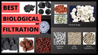 Biological Filtration Explained | Best Biological Filtration