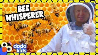 This Bee Rescuer Knows How To Talk To Bees! | Dodo Kids | For The Love Of The Wild