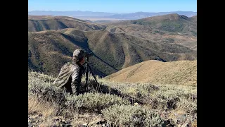 Muzzleloader Mule Deer Hunt