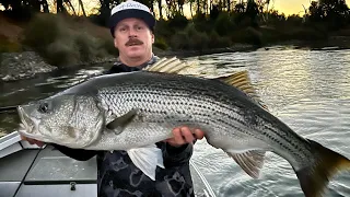 BIG Stripers with Clay Guida & Garrett Dixon