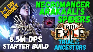 POE 3.22, 3.24 My Strongest Starter Build - Necro Arakaali Spiders, 8.5M DPS (updated 3.24 POB)