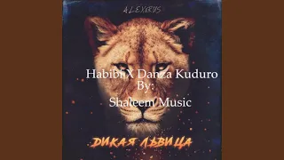 Habibi X Danza Kuduro