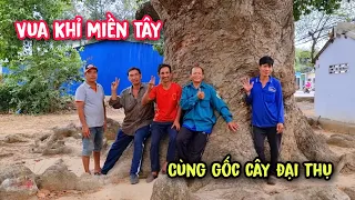 Thật khó có thể tin! trước khi Vua Khỉ hạ gốc nhiều cây Dầu C.H.Ế.T và gặp được cây Dầu Siêu Khủng