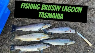 Trout Fishing With Hard Body’s II Brushy Lagoon Tasmania