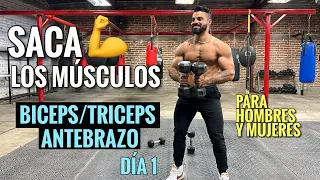 Rutina de BRAZOS entrena tus Bíceps Tríceps y Antebrazos (25 Min) Ejercicios para SACAR LOS MUSCULOS