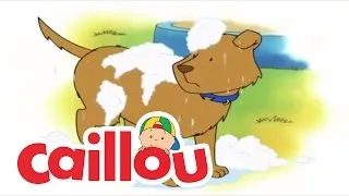 Caillou: Lost and Found | Videos For Kids