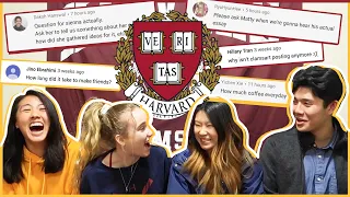 🔥Harvard Students spill the COLLEGE TEA... ft. Sienna Santer, MattyCraps, ClamsArts! | Katie Tracy