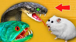 🐍 SNAKE & PIRANHAS 🐠 - Hamster Maze with Traps ☠️ [OBSTACLE COURSE]