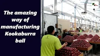 Watch: This is how Kookaburra ball is manufactured