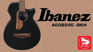 Акустический бас Ibanez AEGB24E (с подключением)