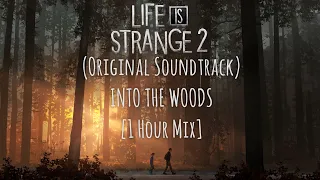Life is Strange  2 - Into the Woods (1 Hour Mix)