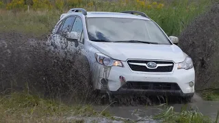 сумасшедший водитель Subaru Forester питается покорить лужу OMG