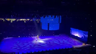 Disney on Ice - Lion king( can you feel the love tonight)