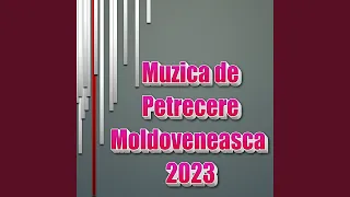 Muzica de petrecere Moldoveneasca 2023, Vol. 1