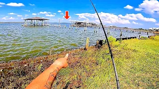 Fishing my Backyard Pier for Giants...[Epic Results]