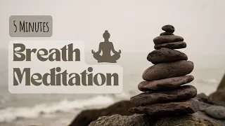 5 Minute Breathing Meditation - Guided Mindfulness Meditation 4K - Calming anxiety reduction