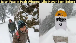 Jalori Pass Trek in Peak Winters I Tirthan Valley 2022 I Delhi to Tirthan Valley I Desi Wanderer I